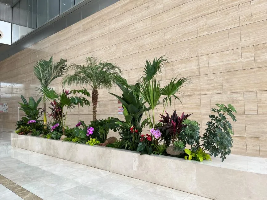 宁波江北植物出租，为家居注入自然气息